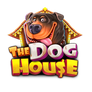 the dog house